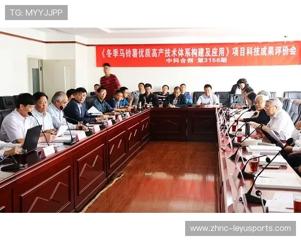 年轻核心已到承担期，重建队伍进入冲刺